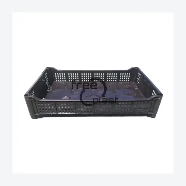 Caja Frutillera de plástico